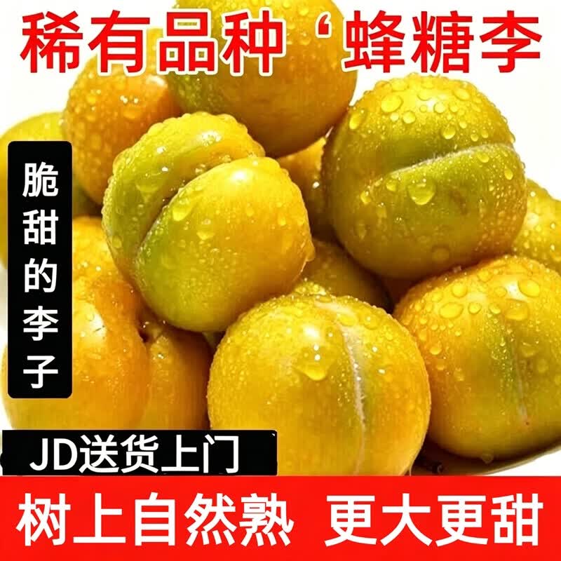 果益寿贵州蜂糖李【JD闪送】冰糖脱骨蜂蜜黄金奈李子端午送礼水果礼盒装 精品果(单果20-30g) 净重3斤装【20%选择-较划算】
