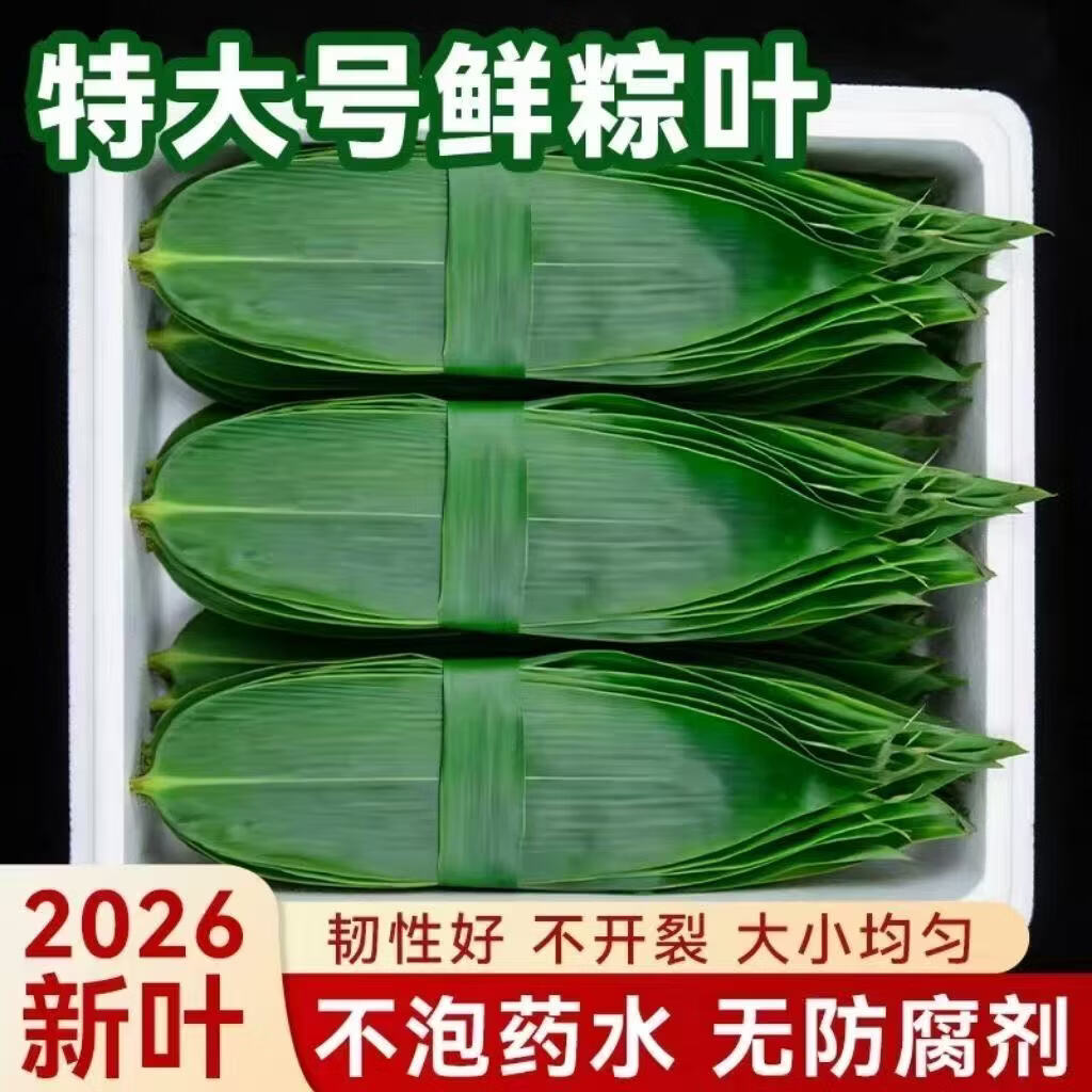 协穆深山新鲜粽叶子真空锁鲜叶片柔韧新手自制端午节包粽子食材送棉绳 特大鲜粽叶实惠装【共200片】 50片*4袋