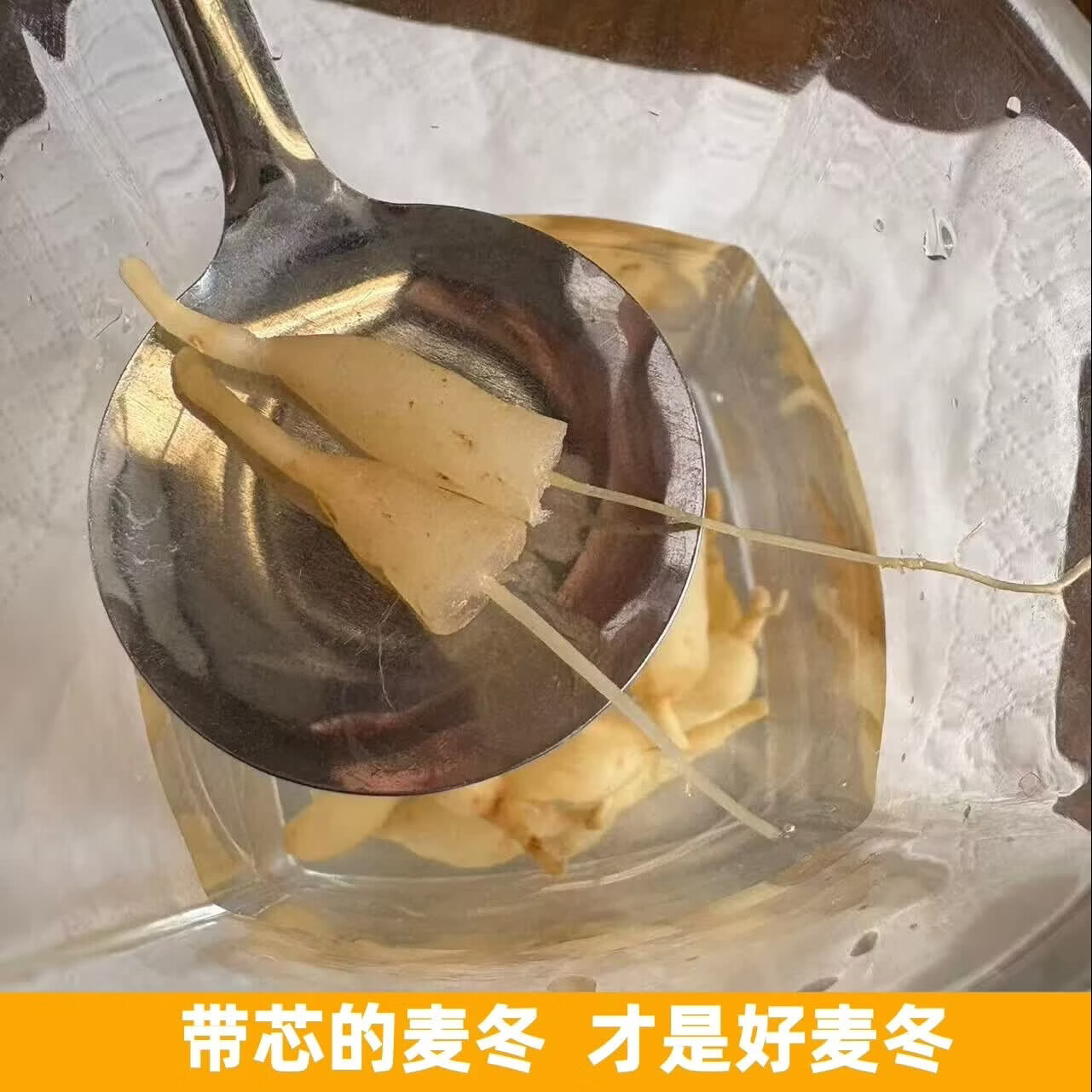 四川深山野生川麦冬农户自挖无硫熏染自然晒干深山川麦冬泡水煲汤 野生川麦冬 250g*2袋