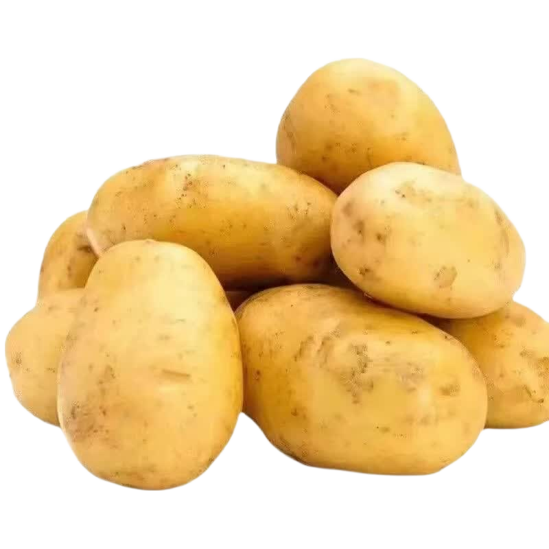 山地原生态黄皮黄心洋芋现挖新鲜马铃薯农家正宗黄心土豆批发 农家山地现挖土豆小果 带箱2斤