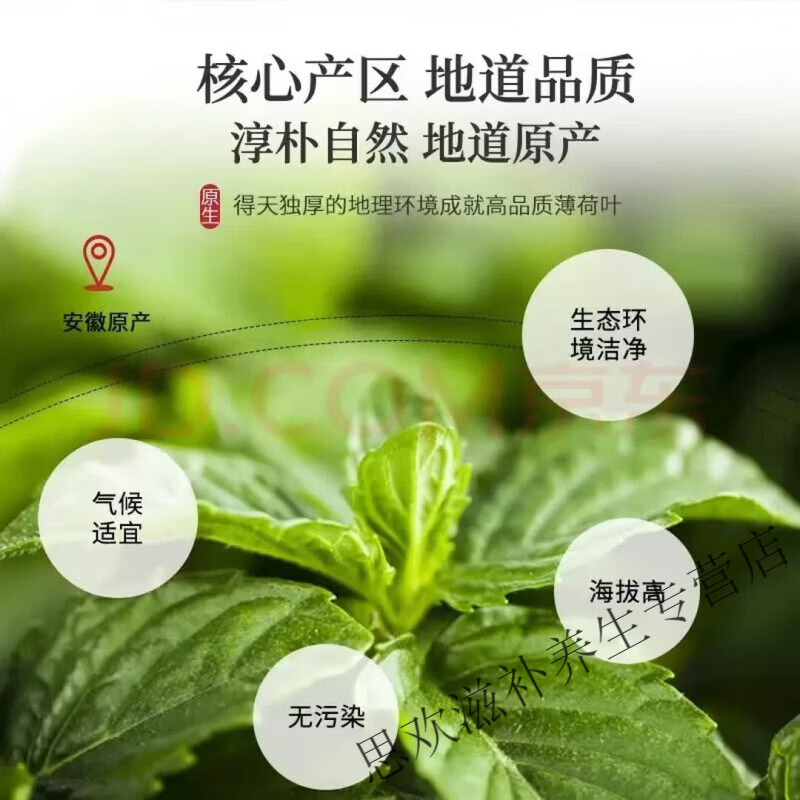 同仁堂特级薄荷茶精选薄荷叶颗粒新鲜中药材泡茶泡水调酒夏季清凉茶叶 甄选野生薄荷叶茶清新口 250g*4罐