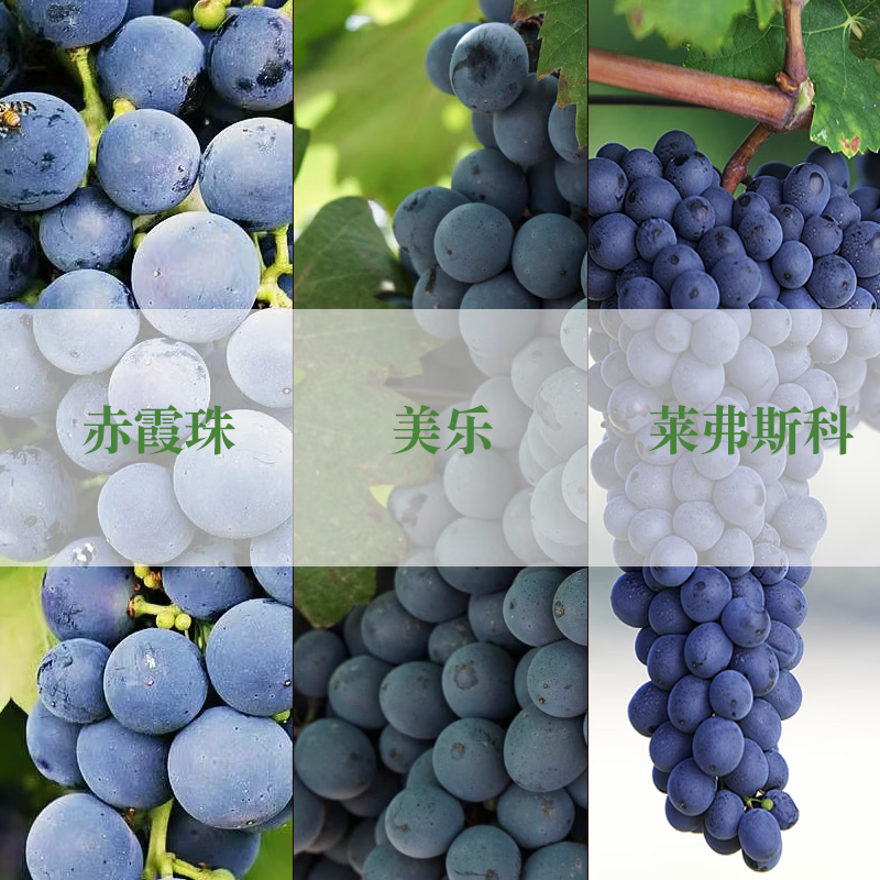 LEERER夏日冰镇红酒意大利进口赤霞珠美乐混酿红葡萄酒口粮酒聚餐果香型 【整箱六支】750ml*6