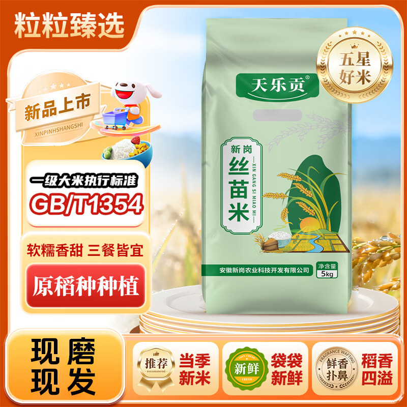 天乐贡新米一级长粒香10斤大米丝苗米猫牙米长粒大米10斤装品质升级 新岗丝苗米【10斤】 甄选大米【现磨新米 精装】
