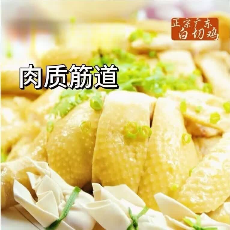顺丰直达清远鸡宫清皇清远鸡黄鸡黄油鸡土鸡白切鸡烤鸡盐焗鸡食材 一只重2.65-2.75斤
