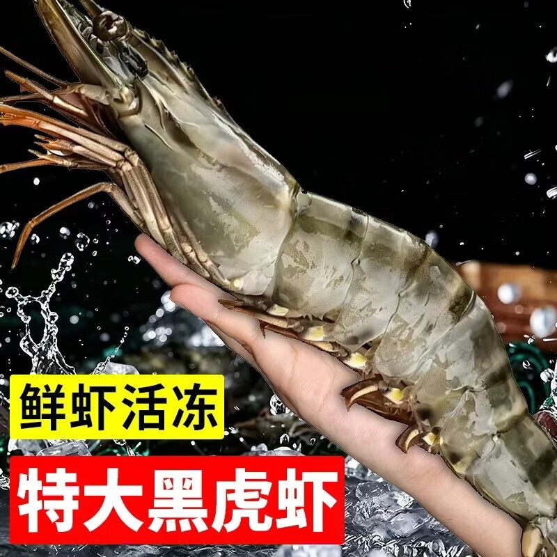 九英里黑虎虾鲜活冷冻超大虾类大虾生鲜肉质紧实不缩水净重两斤20/30 惊喜特惠尝鲜装 20/30大规格2斤装 1000g(净重) 