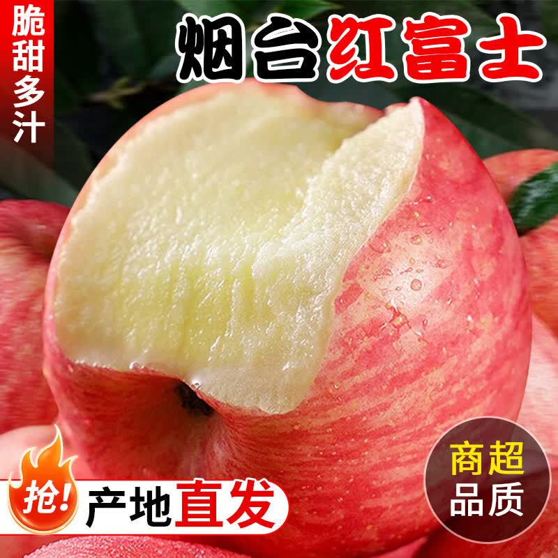 烟台红富士苹果产地直发脆甜多汁新鲜水果礼盒烟台苹果送礼整箱 尝鲜装75MM红富士6枚装