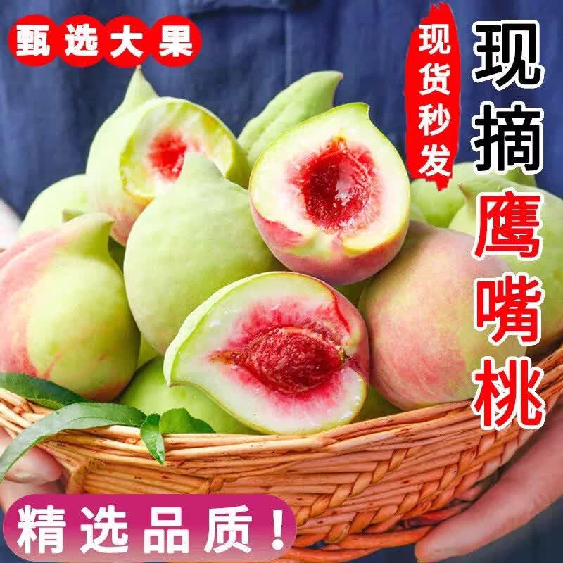 正宗鹰嘴桃新鲜脆桃子应季时令水果当季整箱礼盒甜毛桃非广东连平 品质A级果【香甜】丨单果120-140g（中果） 5斤装【高性价比-限时促销】净4.5斤