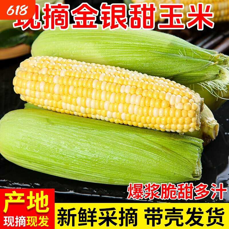 北森南屿云南金银水果玉米新鲜蔬菜水果糯甜玉米应季苞谷棒子现摘 5斤(300g起)带箱
