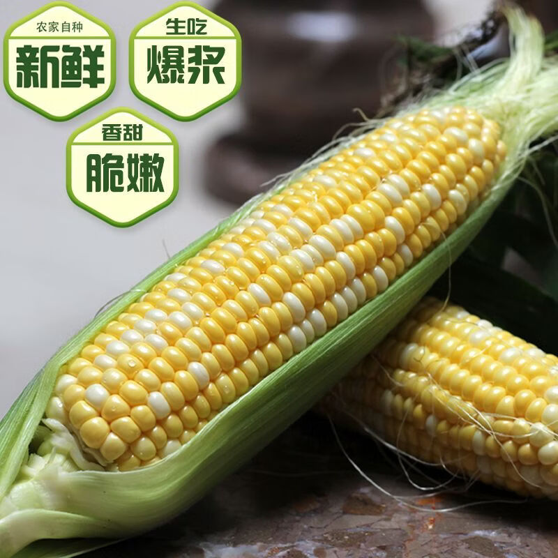 【京东物流送货到家】现摘生吃爆浆水果玉米孕妇苞谷棒即食嫩蔬菜 5斤
