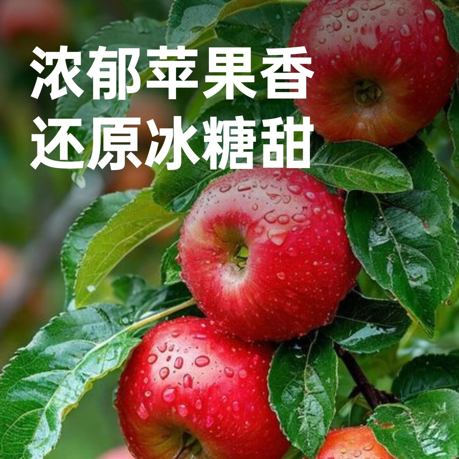 玉丹云南昭通苹果汁饮料餐饮烧烤酒店外卖果汁厂家直销小瓶装特产 玉丹苹果汁饮料300ml*12瓶【整箱更优惠】