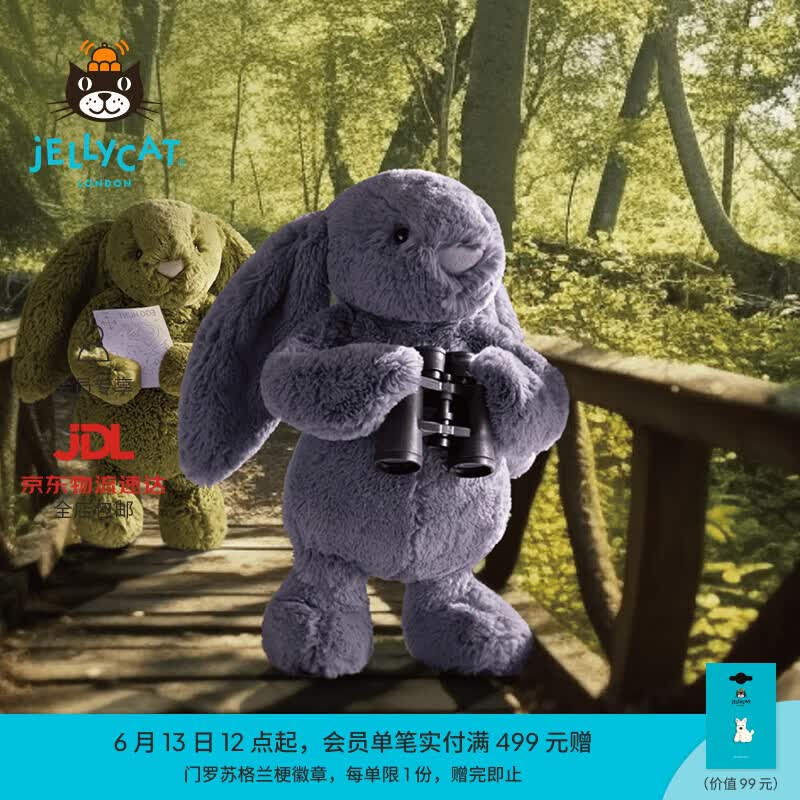 Jellycat早春新品害羞紫罗兰邦尼兔毛绒玩偶安抚娃娃送礼生日礼物 害羞紫罗兰邦尼兔 Medium