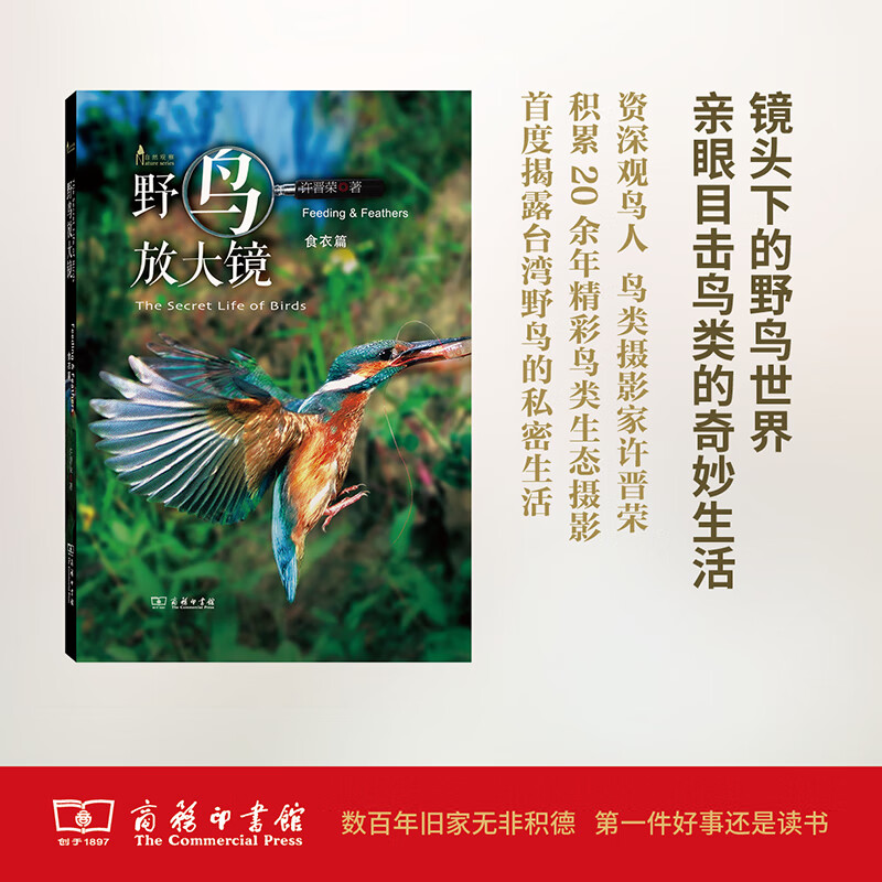 野鸟放大镜：食衣篇(自然观察丛书)