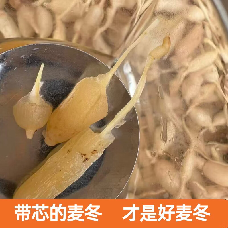 四川野生麦冬 深山野生麦冬农户自挖无硫熏染自然晾晒泡水煲汤 深山野生麦冬 250g*2袋 【家庭装】