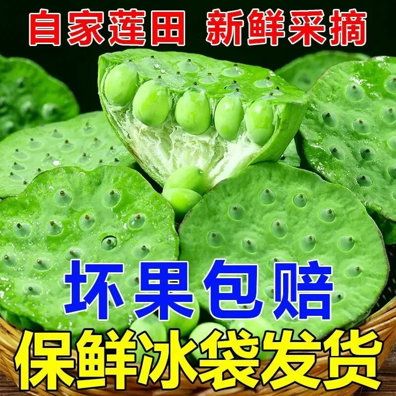 京东冷链生鲜新鲜莲蓬头食用现摘现剥鲜莲子生吃鲜嫩清甜时令蔬菜 4斤当天现摘莲蓬