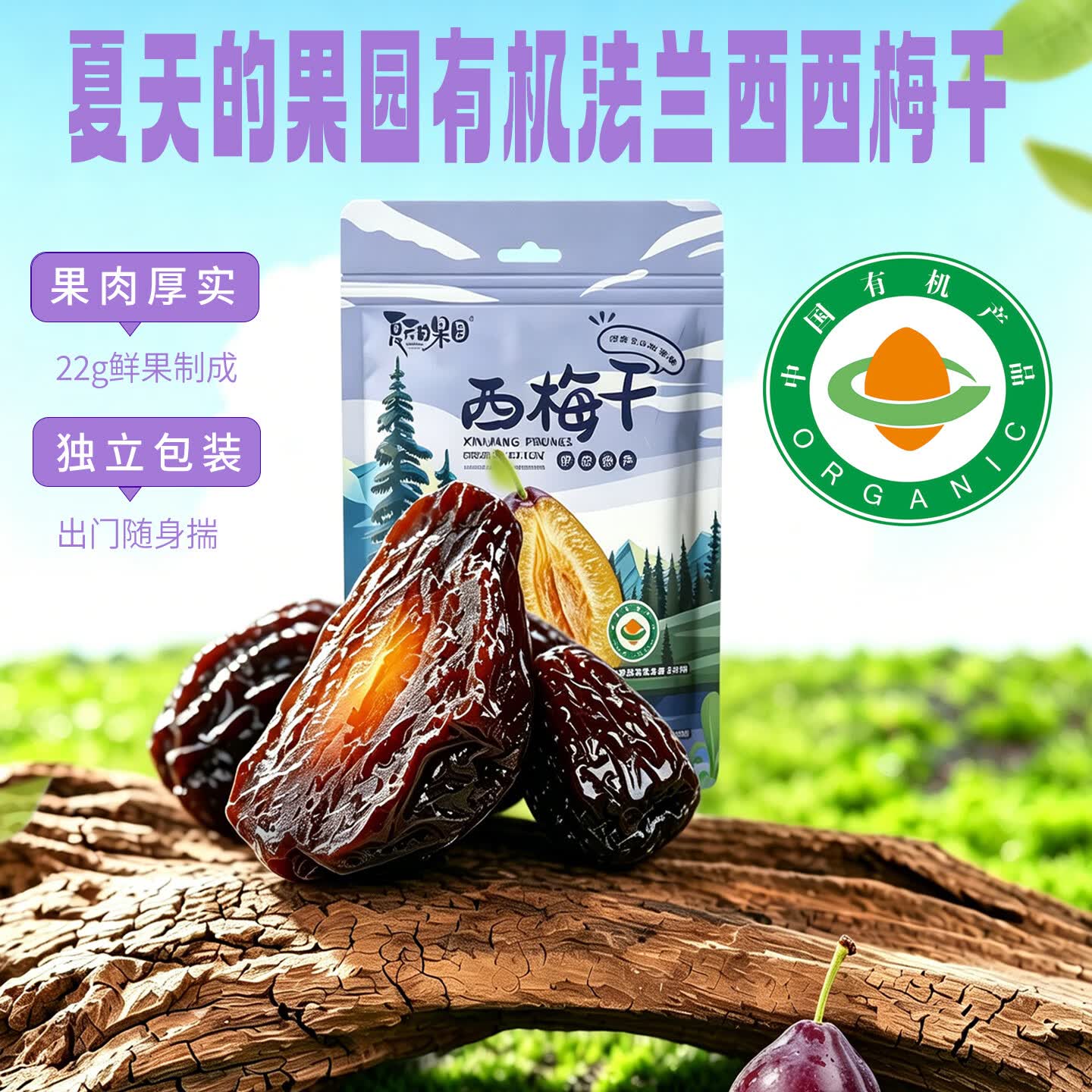 夏天的果园有机法兰西西梅干无添加新疆特产独立真空包装果干休闲零食 净含量160g*1袋 无规格