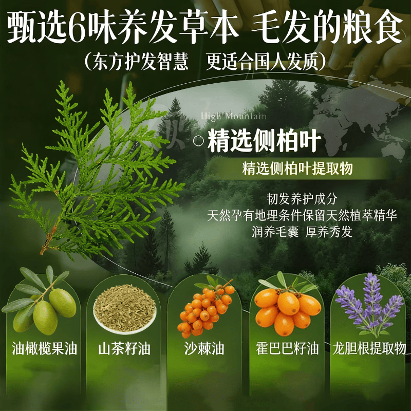 BODR WEWA侧柏叶乌斯曼草养发固发皂进口烟酰胺海藻糖 八块 短视频直播同款爆款