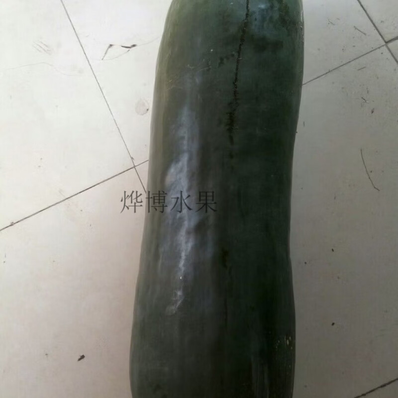 广东新鲜超大青皮冬瓜专用清凉消暑超长光滑降温舒服正宗大冬瓜 新鲜大冬瓜 24斤