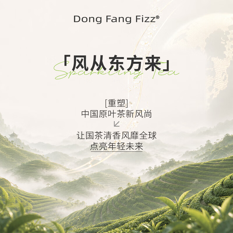 风从东方来原叶汽泡茶375ml*4罐茉莉花茶乌龙气泡茶无糖饮料苏打水【双11】 【375ml×4罐】茉莉花2罐+海盐乌龙1罐+蜜桃乌龙1罐