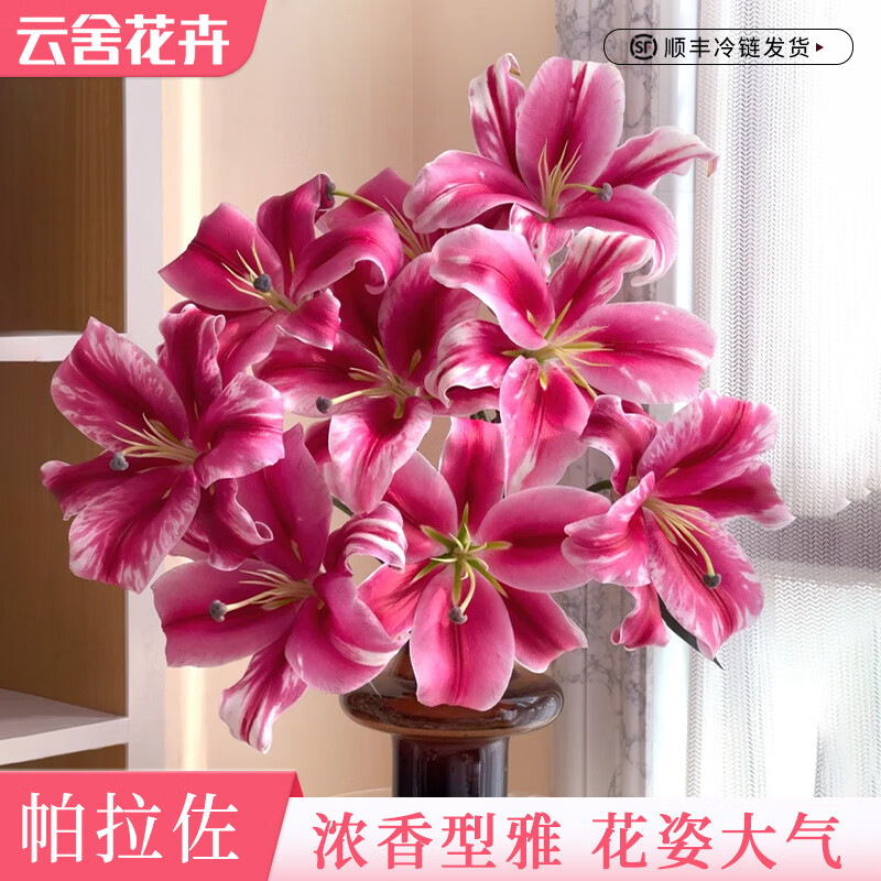 云舍花卉云南昆明直发浓香型单瓣罗蒂黄天霸百合鲜切花室内水培装饰包邮 【裸粉温柔】帕拉佐单瓣百合10-12个花苞 普通款【生花苞发货一单普通快递两单顺丰或京东空运】