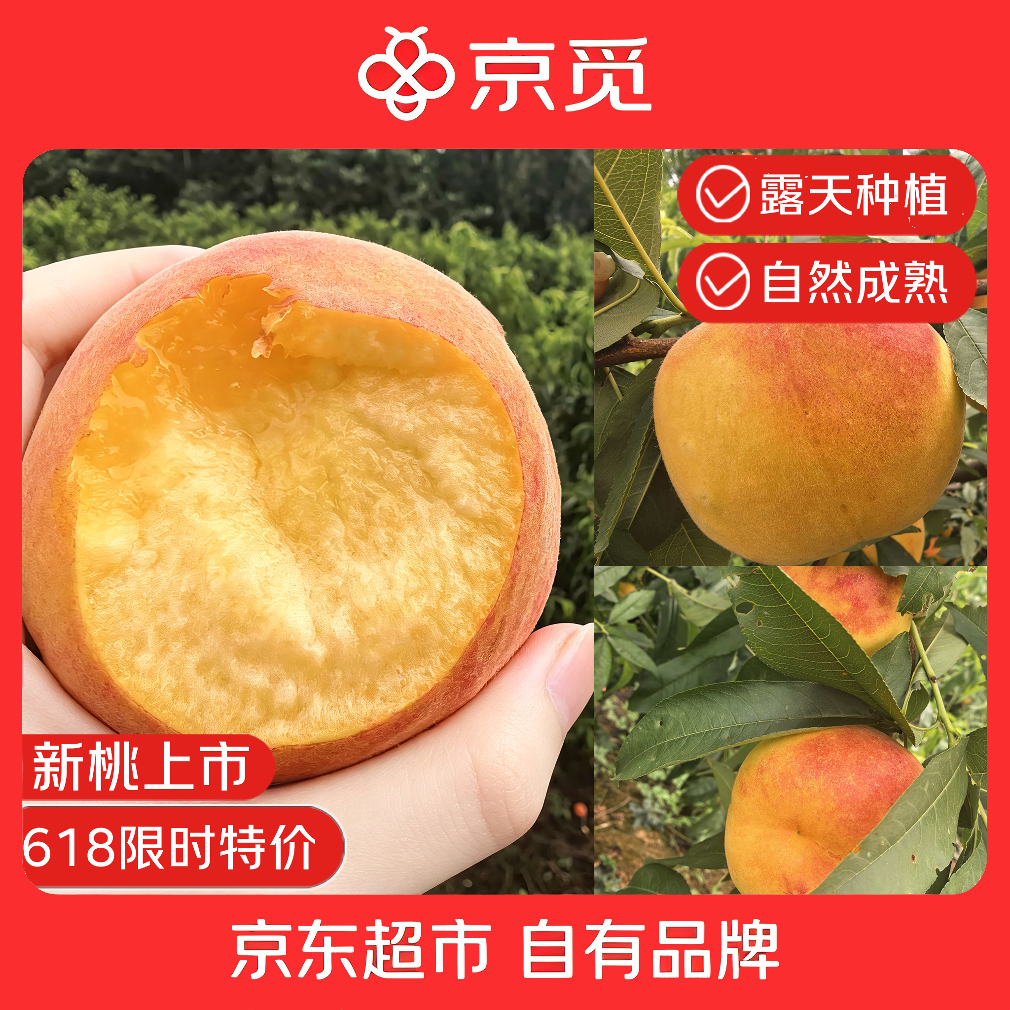 京觅襄阳金玉黄桃4.5斤净重单果150g+新鲜水果香甜多汁源头直发包邮