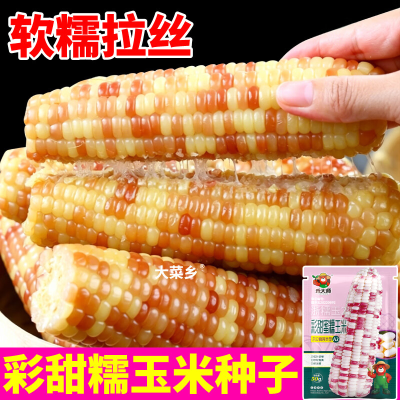 大菜乡彩甜糯玉米种子香软花糯玉米种籽白黄黑黏苞谷籽四季播种大田早熟 【彩甜糯+黄甜糯】玉米种子各1包(1包约50粒)+1包肥