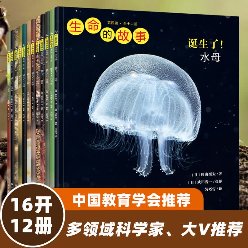 生命的故事 42册套装（赠音频） 高清实拍纸上纪录片昆虫成长实录全书 3-6岁儿童自然科学动物世界绘本 幼儿园课外阅读图书(果壳、樊登、无穷小亮推荐)生日礼物 生命的故事 第4辑（12册）