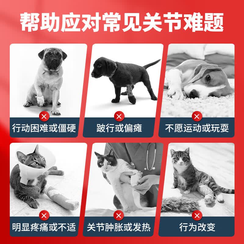 安它诺(ANTINOL)安替诺Antinol277宠物软骨素猫狗关节保护消炎止痛新西兰进口骨骼 安替诺 60粒*2瓶 【官方授权-防伪可查】
