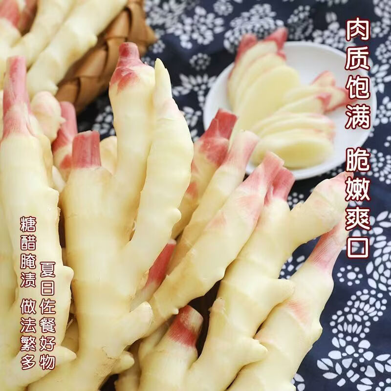 广西现挖正宗大块嫩姜红芽新鲜生姜鲜姜仔姜芽农家自种新鲜嫩姜 【净重5斤】广西现挖嫩姜