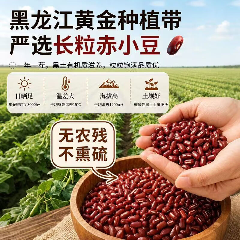 同仁堂(TRT)东北黑龙江赤小豆有机赤小豆新货赤小豆中药赤小豆薏米茶泡水煮粥 东北赤小豆 300g*4罐