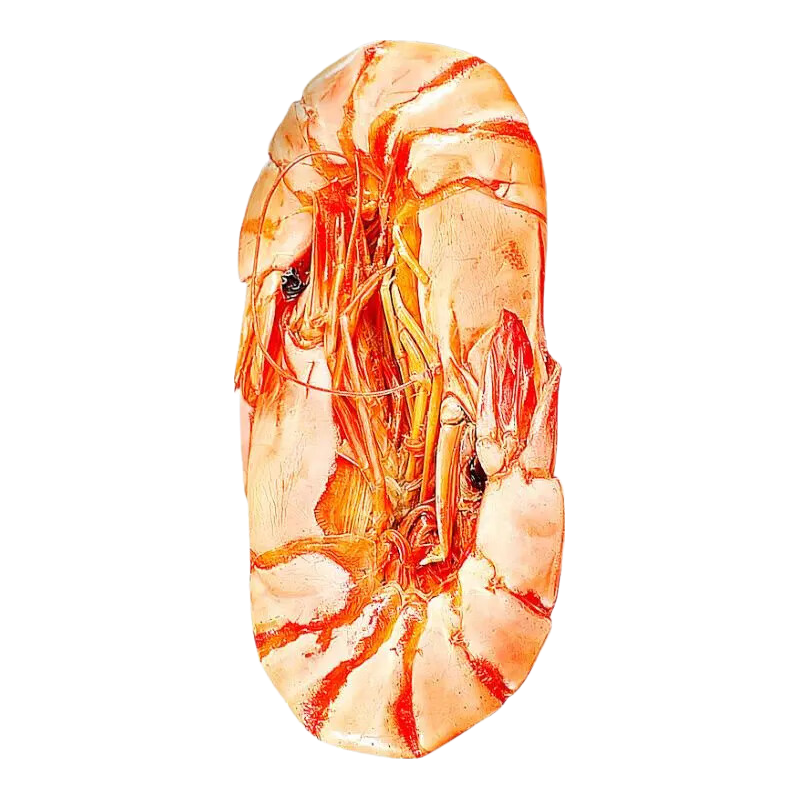海仙津九节虾干即食大烤虾255g35-45只Plus款 93元 - 86线报