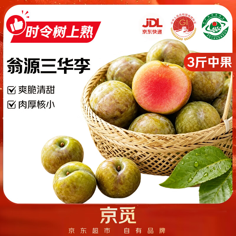 京觅韶关翁源三华李3斤单果30g 19.9元 - 86线报