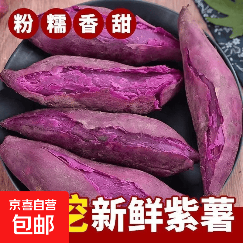 山东新鲜紫薯紫罗兰沙地现挖农家自种应季番蓸紅瞢烤地瓜软糯香甜 【尝鲜装】净重2斤 单果（1-3两）