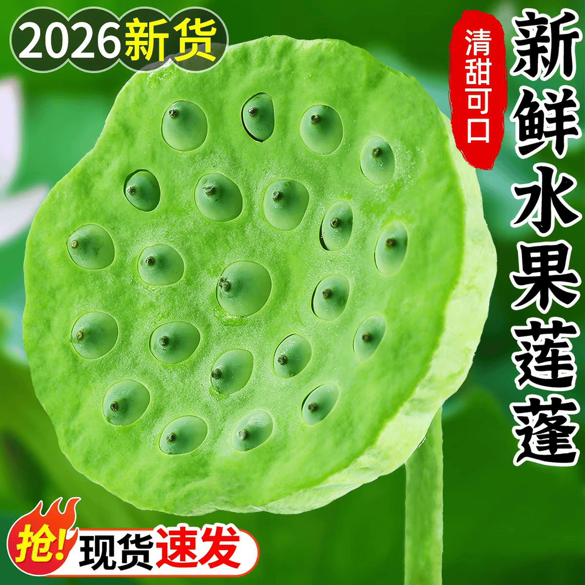 新鲜莲蓬【加冰京东空运】江西广昌水果嫩莲蓬 鲜莲太空莲2斤装 2斤新鲜莲蓬 京东折扣/优惠券
