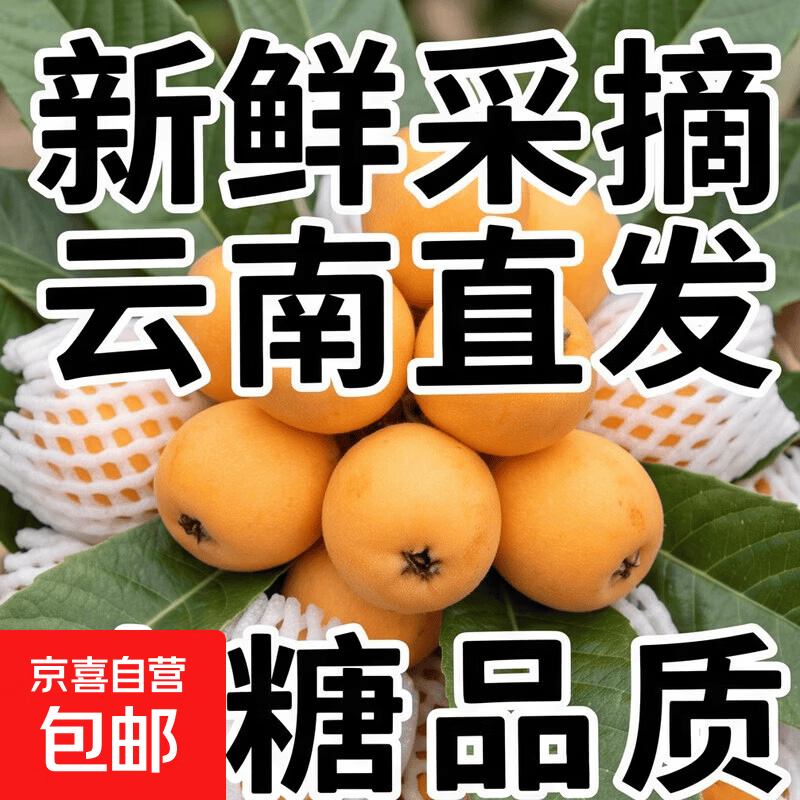 新鲜大五星枇杷云南超甜应季水果整箱冰糖枇杷产地直发 带箱1斤中果30-40克