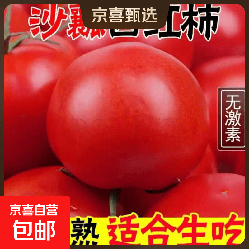 现摘现发沙瓤西红柿自然熟番茄新鲜应季生吃炒菜吃沙瓤西红柿包邮 1斤 带箱1斤 实惠装中果【沙瓤西红柿】