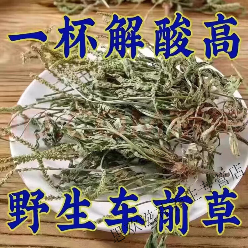 同仁堂胖东来同款野生车前草干货中草药江西特级车前草清热利尿泡茶 特级野生车前草 125g*8罐