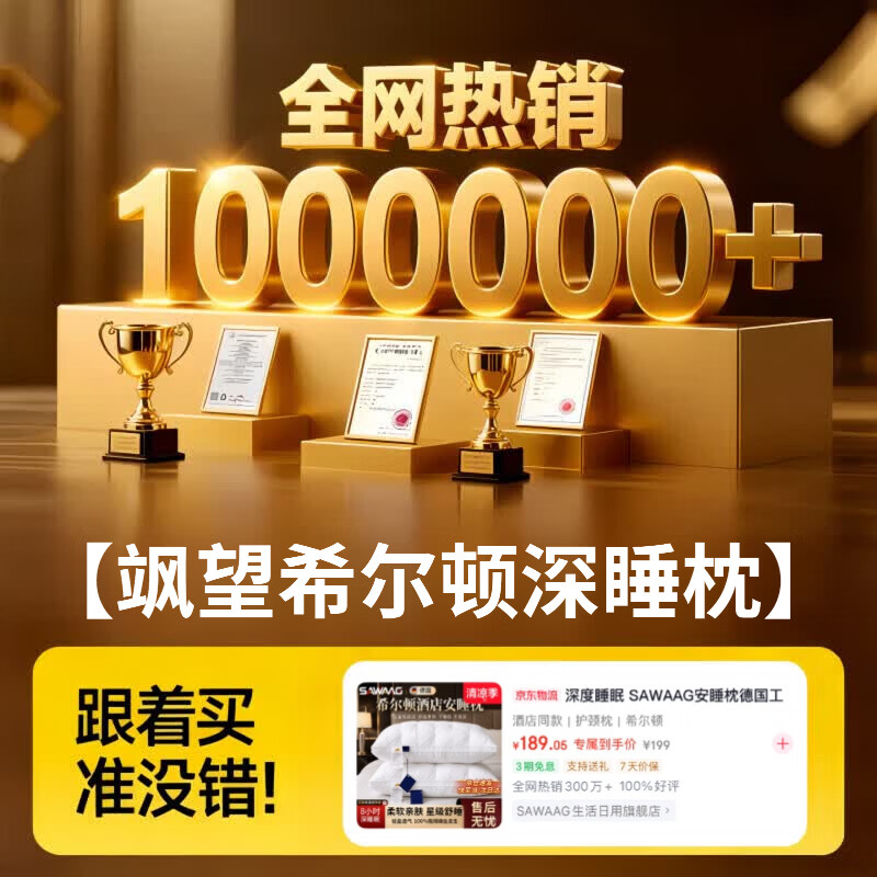 SAWAAG【德国】希尔顿酒店同款五星级枕头护颈枕睡眠颈椎病深度睡眠专用 绅士灰【48*74cm高枕】 整晚舒睡 星级标准 一对