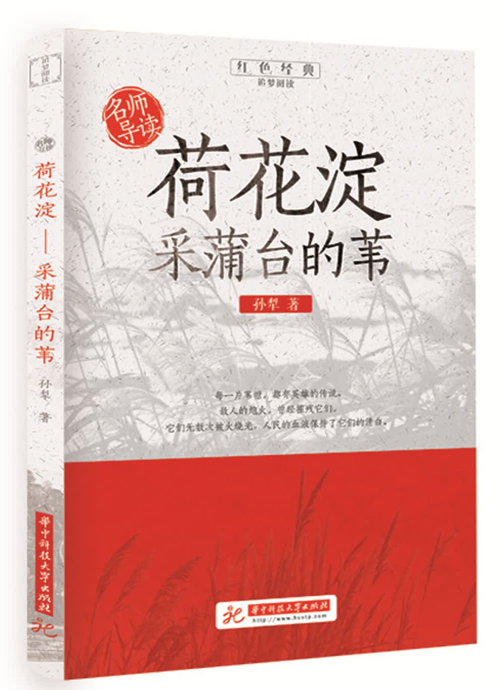 荷花淀采蒲台的苇/追梦阅读