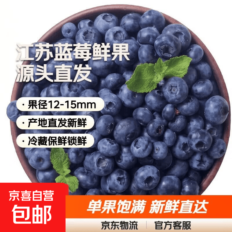 江苏蓝莓鲜果 时令水果生鲜 源头直发【专享价】 单粒果径12-15mm 净重4盒*100g带箱1斤