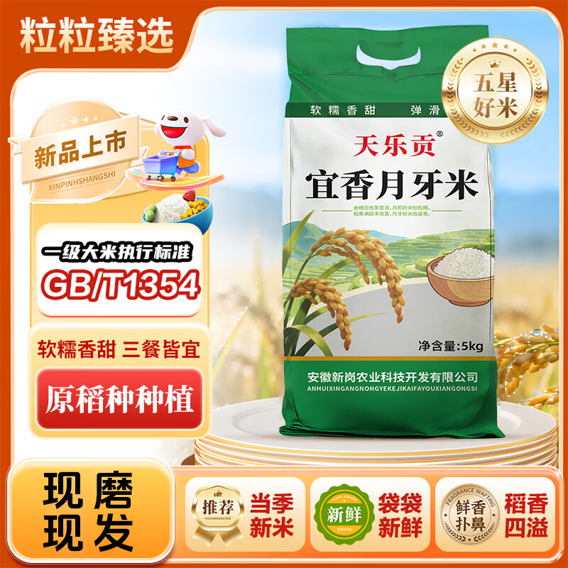 天乐贡新米一级长粒香10斤大米丝苗米猫牙米长粒大米10斤装品质升级 宜香月牙米【10斤】 甄选大米【现磨新米 精装】