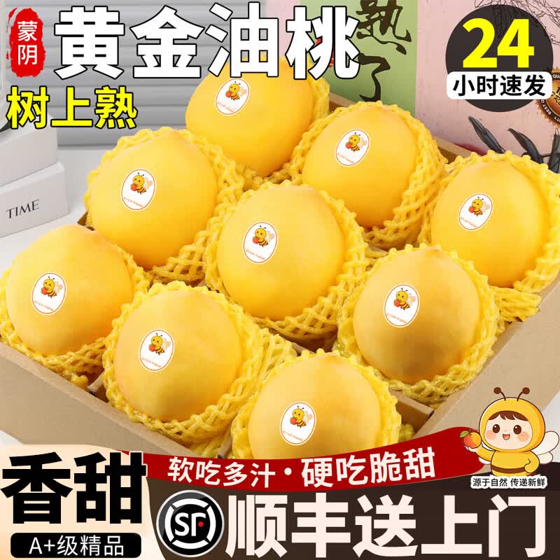 粤迎山东蒙阴黄油桃【顺丰送货上门】黄金油桃蜜脆桃子水果盒端午节礼 3斤独享装【单人独享装-较较划算】净2.5斤 A+级精选果【单果100g+】香甜