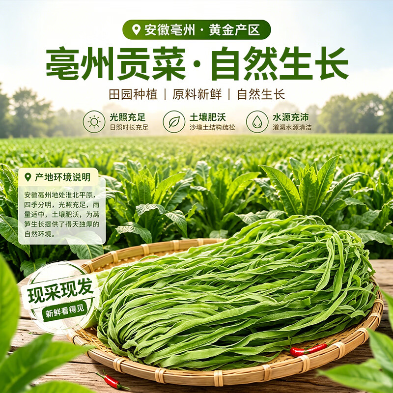 商超品质特级新贡菜火锅食材干货下饭菜脱水蔬菜干货下饭菜包邮 【无污染】精选贡菜干150g