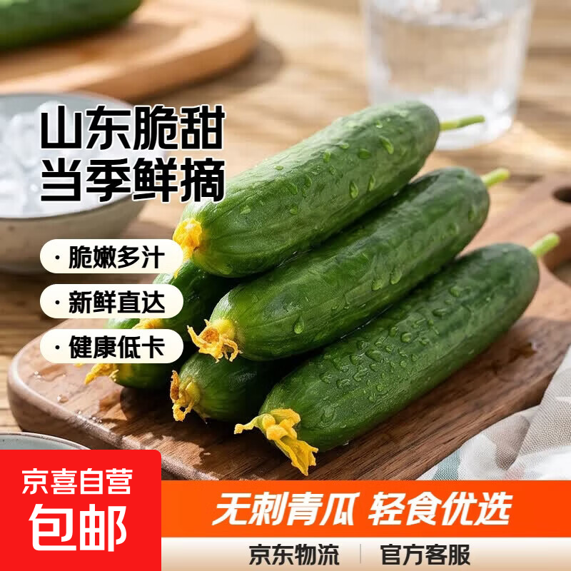 新鲜水果小黄瓜健康轻食山东脆甜无刺青瓜当季新鲜蔬菜 2斤