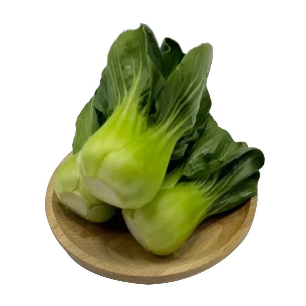 宁夏青菜上海青供港小青仔软糯清甜小青菜小油菜矮脚青菜新鲜蔬菜 3斤