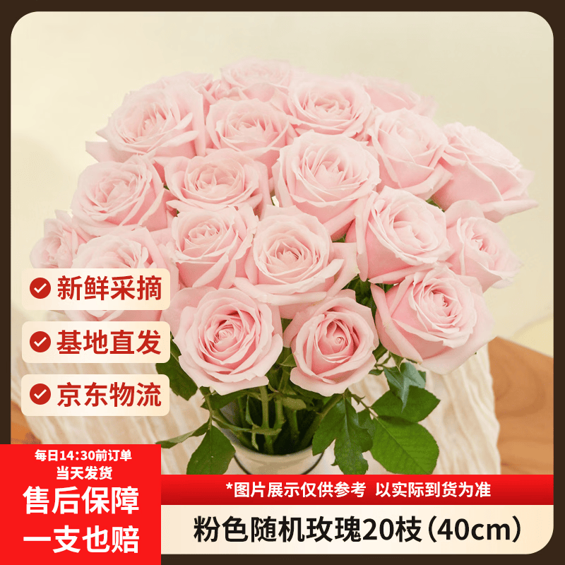 京东鲜花玫瑰花【粉色随机】20枝无土栽培新鲜采摘礼品花山东基地源头直发