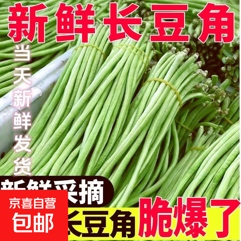 新鲜长豆角豇豆现摘现发蔬菜豆角芸豆生鲜 带箱1斤