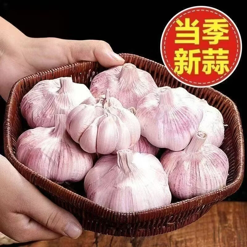 新鲜干大蒜正宗山东新干大蒜大蒜紫皮大蒜产地直发蒜香十足 产地直发蒜香十足 带箱五斤
