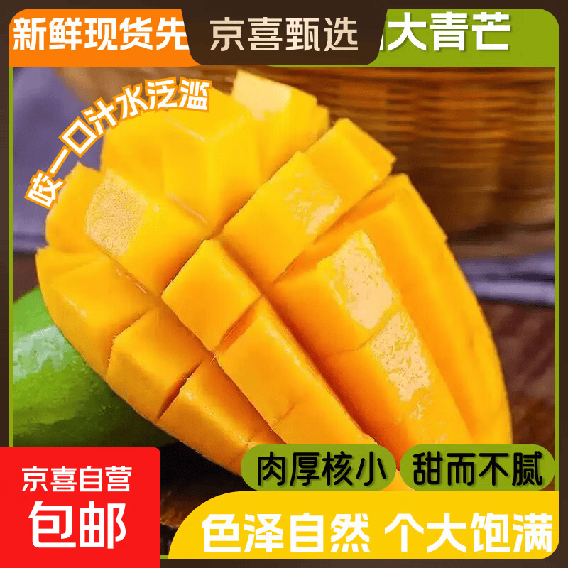 【正宗云南大青芒】青皮青芒个大肉厚核小饱满多汁大芒果新鲜发货 毛重2斤单果300g+净重1.6斤