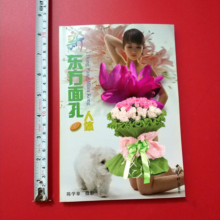 新东方面孔第4册 全新正版