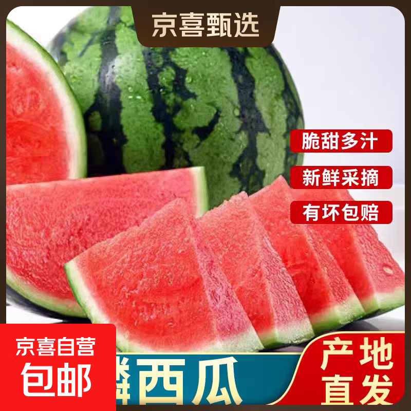 新鲜采摘脆甜河南商丘麒麟西瓜新鲜多汁无籽甜瓜产地直发有坏包赔 净重4-6斤/个